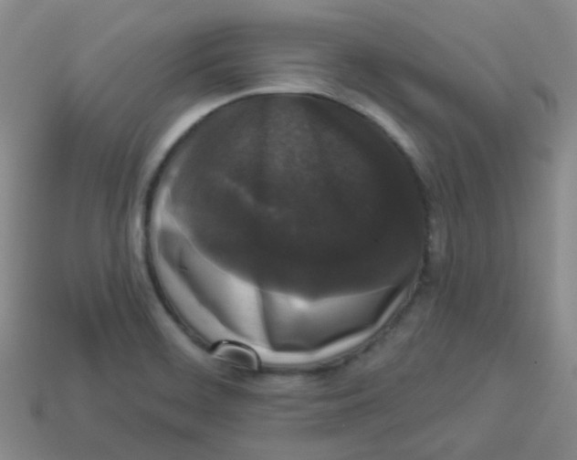 X0000113281468200910130955