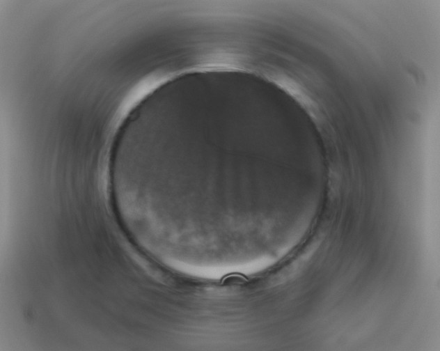 X0000113281469200910130955