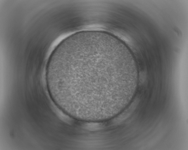 X0000113281470200910130955