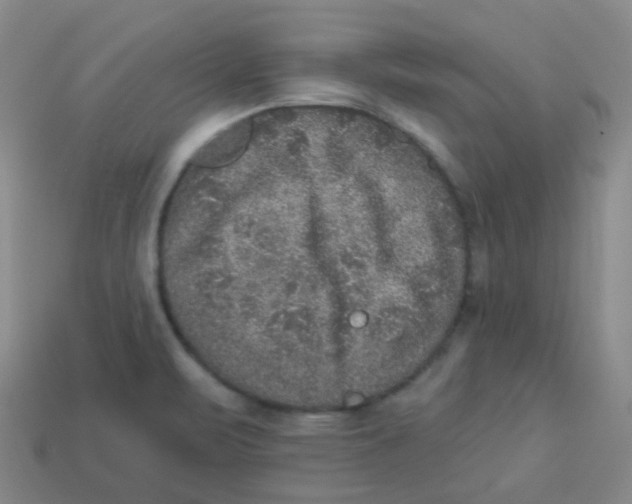 X0000113281471200910130955