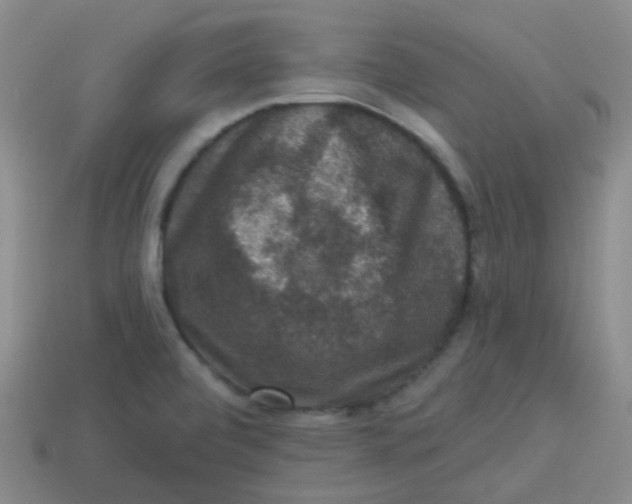 X0000113281472200910130955