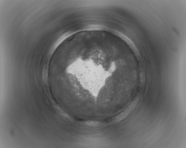 X0000113281473200910130955