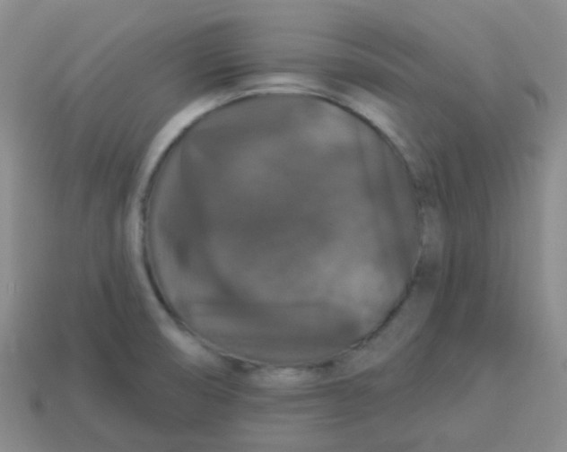 X0000113281474200910130955