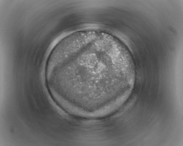 X0000113281475200910130955