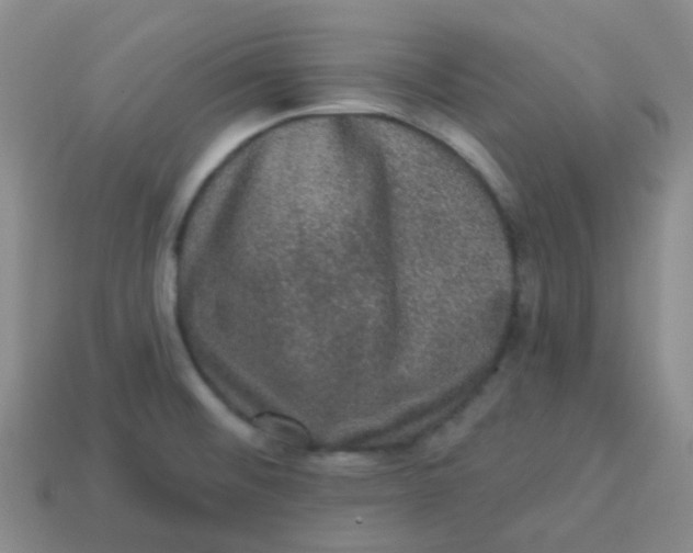 X0000113281476200910130955