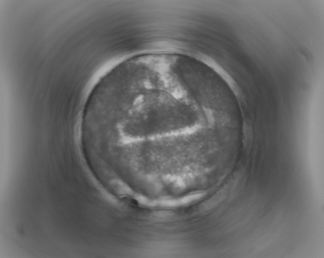 X0000113281477200910130955