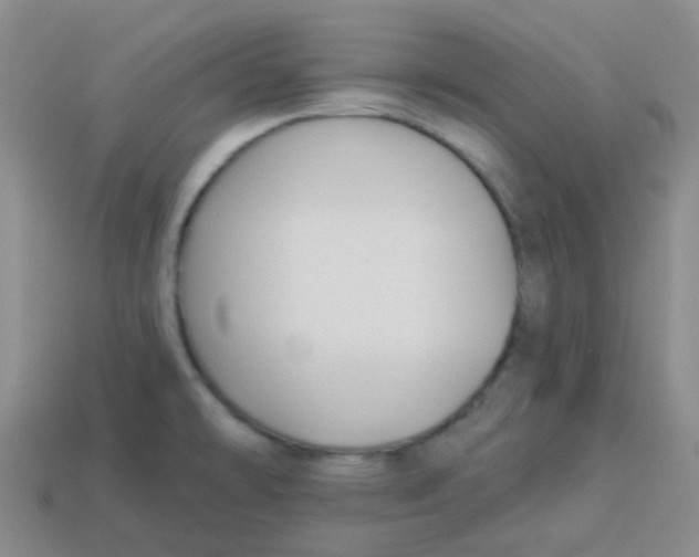 X0000113281478200910130955