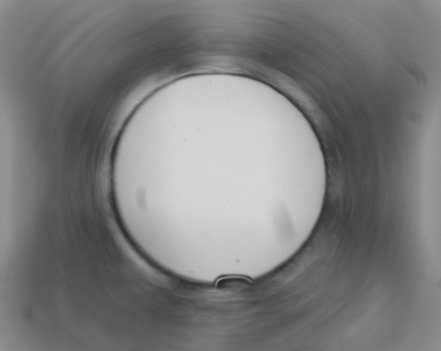 X0000113281479200910130955