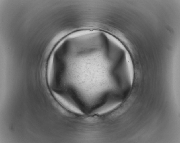 X0000113281480200910130955