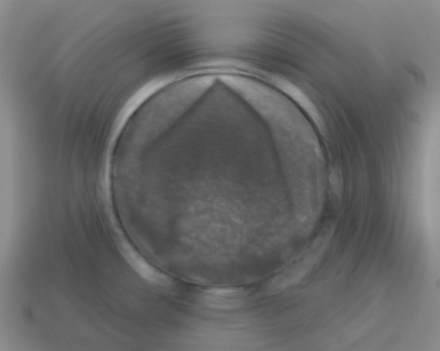 X0000113281482200910130955