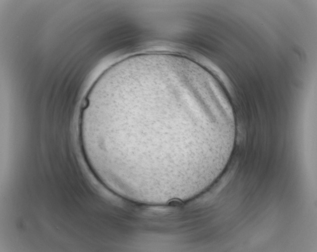 X0000113281483200910130955