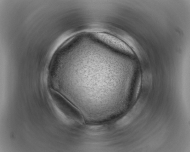 X0000113281484200910130955