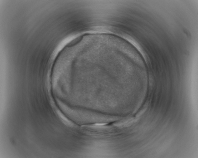 X0000113281485200910130955