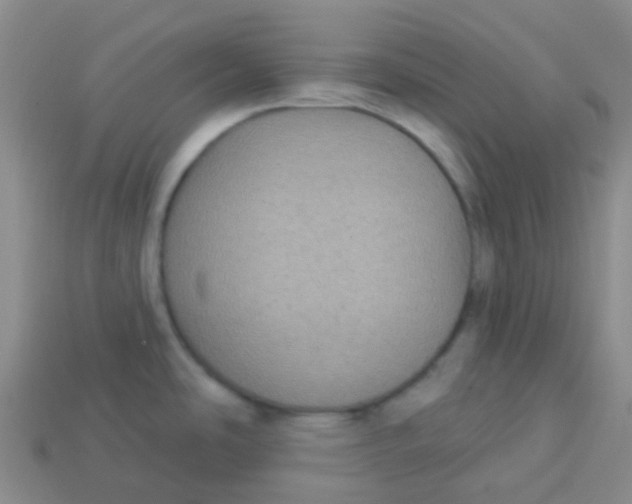 X0000113281486200910130955