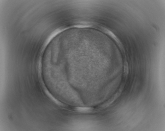 X0000113281487200910130955