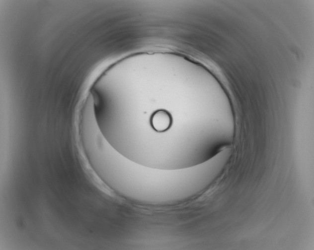 X0000113281488200910130955