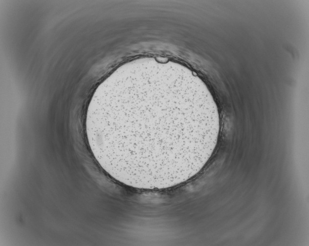 X0000113281489200910130954