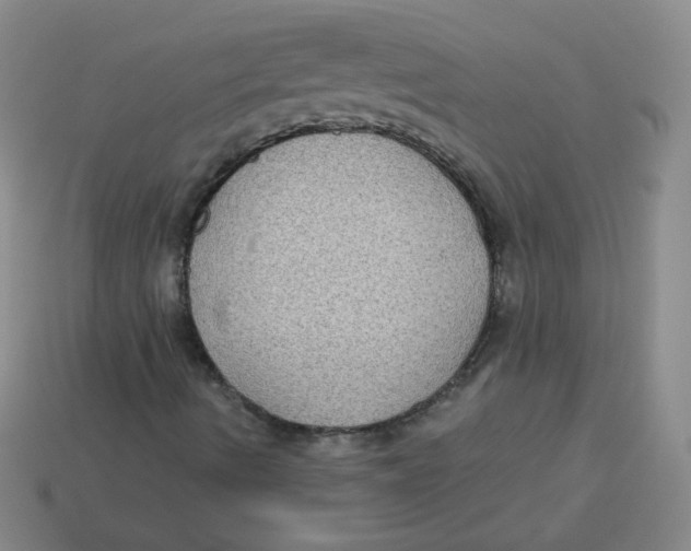 X0000113281490200910130954