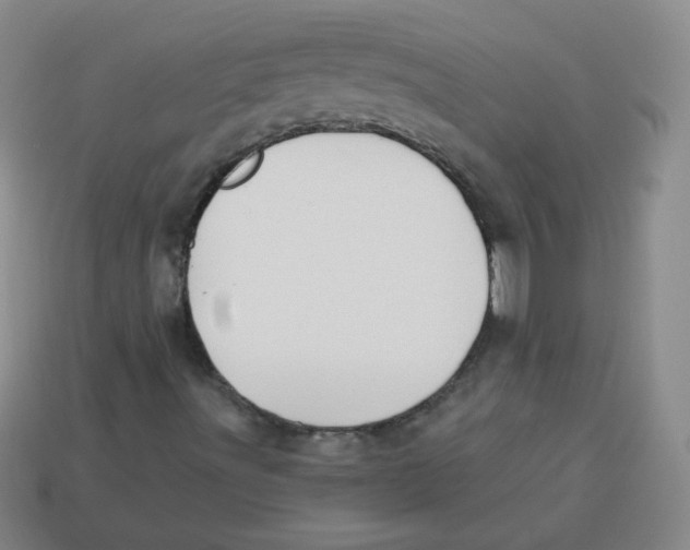 X0000113281491200910130954