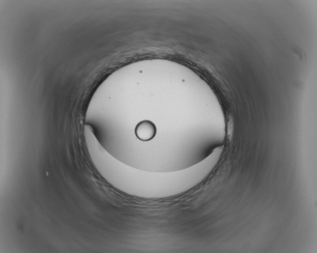 X0000113281492200910130954