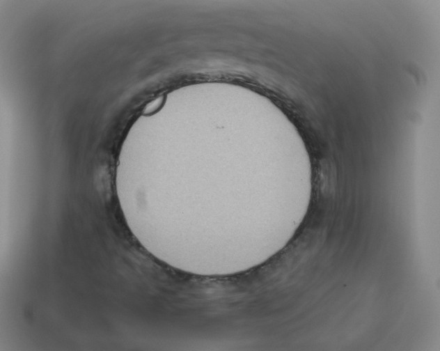 X0000113281493200910130954