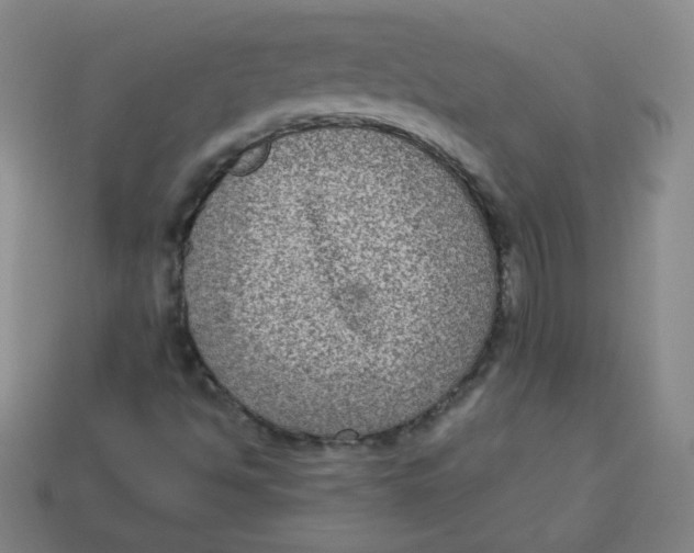 X0000113281494200910130954