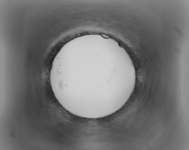 X0000113281495200910130954