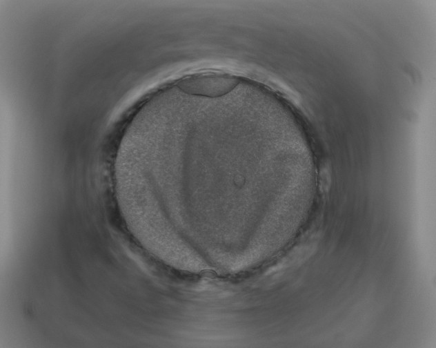 X0000113281496200910130954