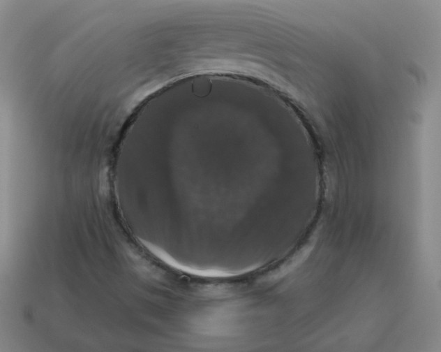 X0000113281497200910130954