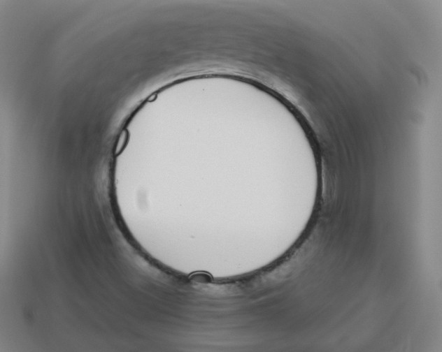 X0000113281500200910130954