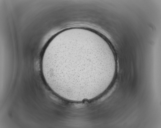 X0000113281501200910130954