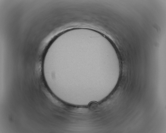 X0000113281503200910130954