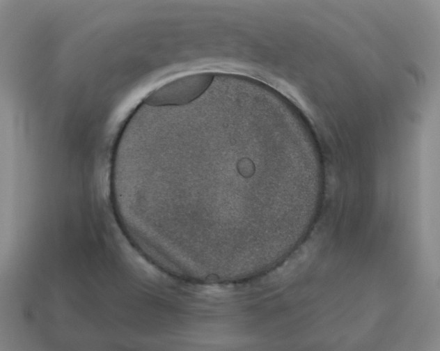 X0000113281504200910130954