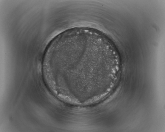 X0000113281505200910130954