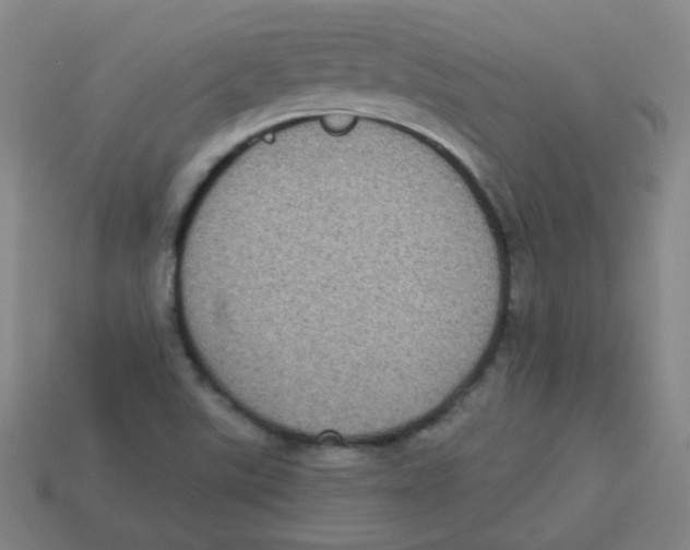 X0000113281507200910130954