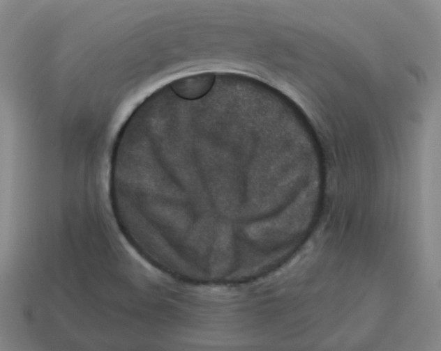 X0000113281508200910130954