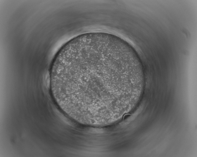 X0000113281509200910130955