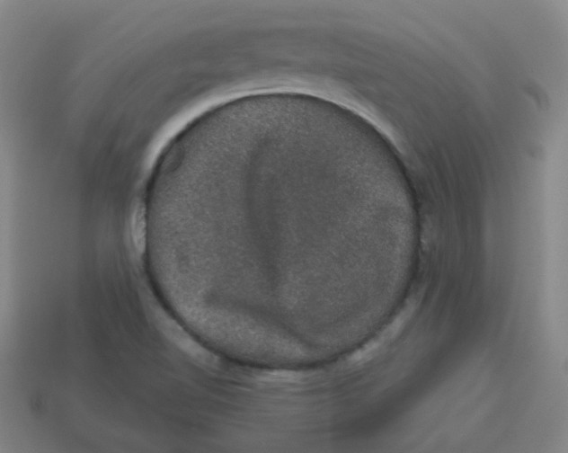 X0000113281510200910130955