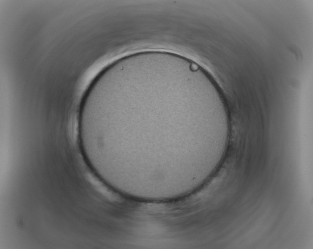 X0000113281511200910130955