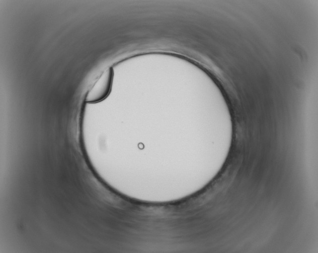 X0000113281512200910130955