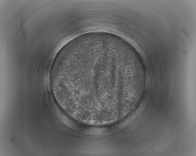 X0000113281513200910130955