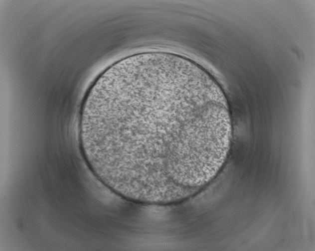 X0000113281514200910130955