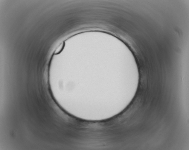 X0000113281516200910130955