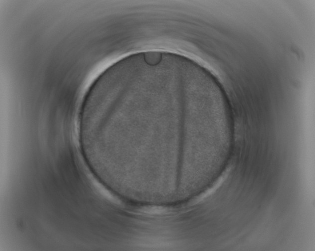 X0000113281517200910130955