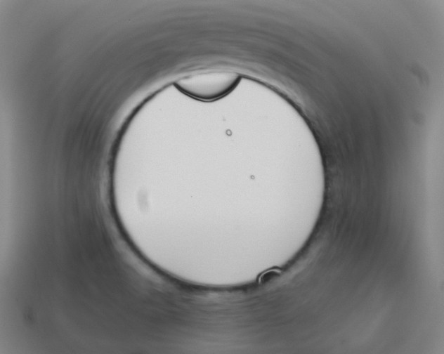 X0000113281518200910130955