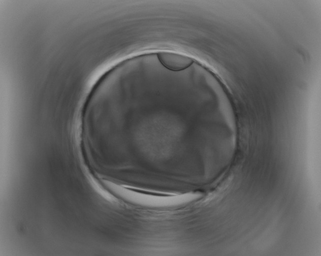 X0000113281519200910130955