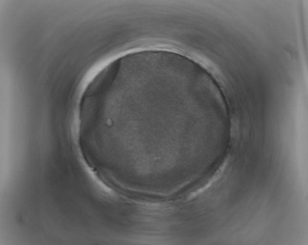 X0000113281520200910130955