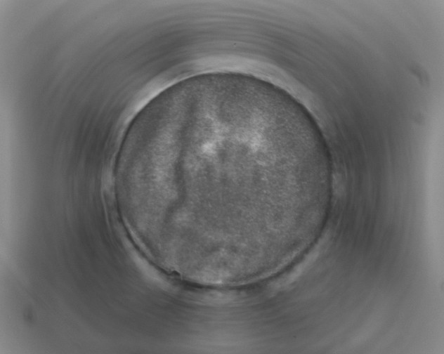 X0000113281521200910130955