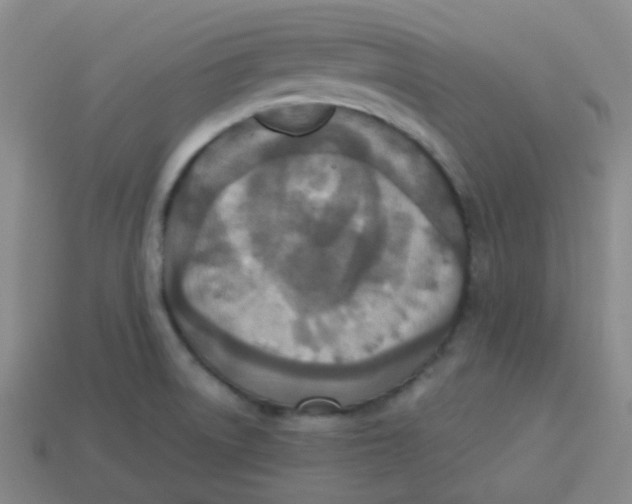 X0000113281522200910130955