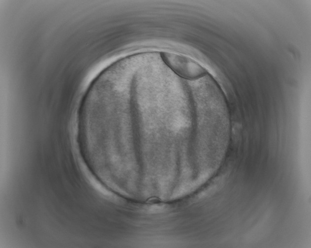 X0000113281523200910130955